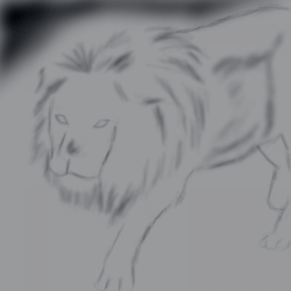 Creation of Run.....Its a lion......: Step 6